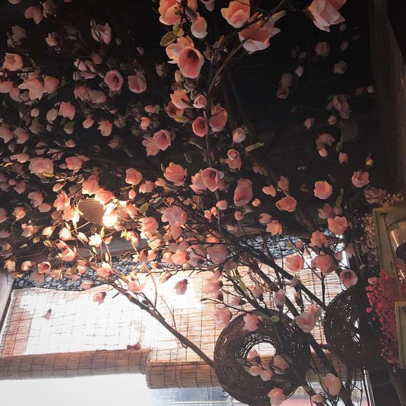 唯美简洁插画朋友圈配图