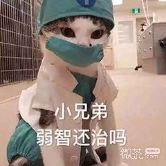 今日份的微信群聊沙雕怼人表情包