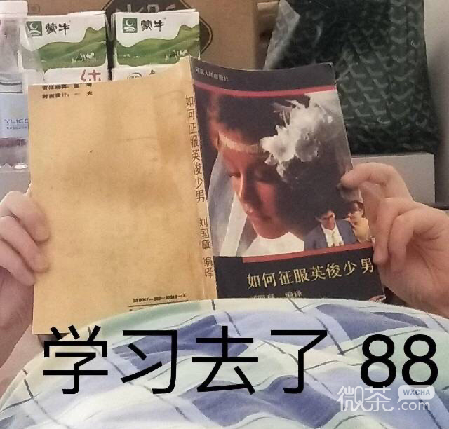 今日份的微信群聊沙雕怼人表情包