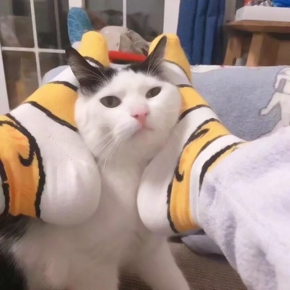 俏皮搞怪风格的微信情侣头像