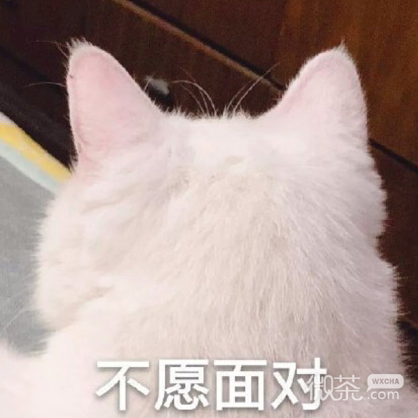 今日份的微信群聊沙雕怼人表情包