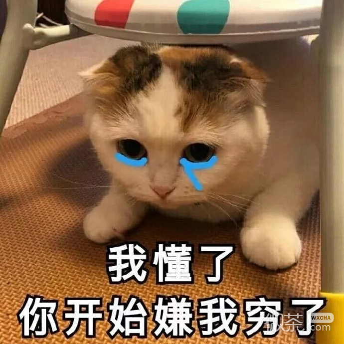 今日份的微信群聊沙雕怼人表情包
