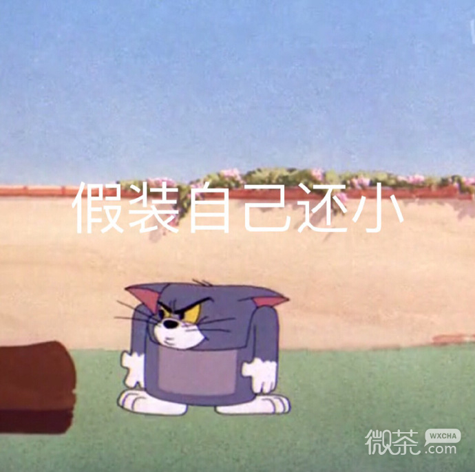 今日份的微信群聊沙雕怼人表情包