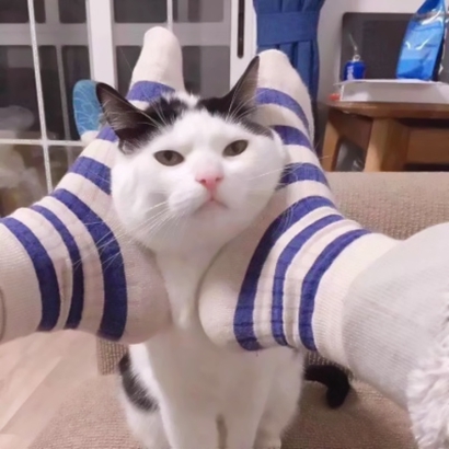 俏皮搞怪风格的微信情侣头像