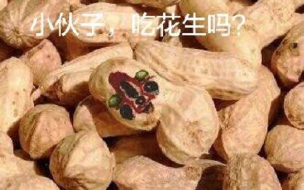 甩锅微信恶搞斗图表情包