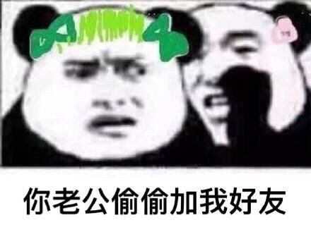 微信最新带字恶搞绿帽熊猫头表情包