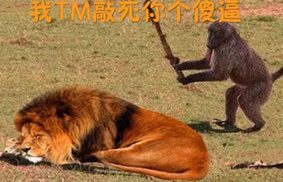 逮捕傻狗微信恶搞斗图表情包