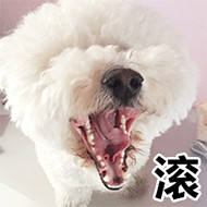 怎么可能微信恶搞斗图表情包