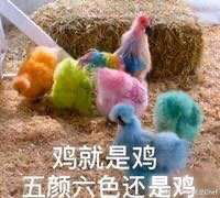 累了微信恶搞斗图表情包