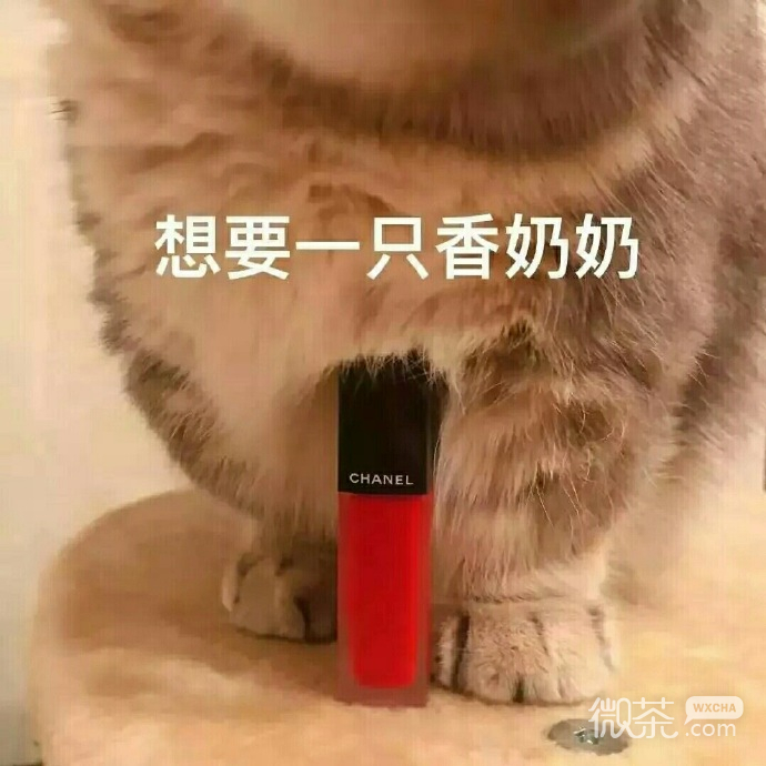萌萌哒的微信喵星人买口红表情包