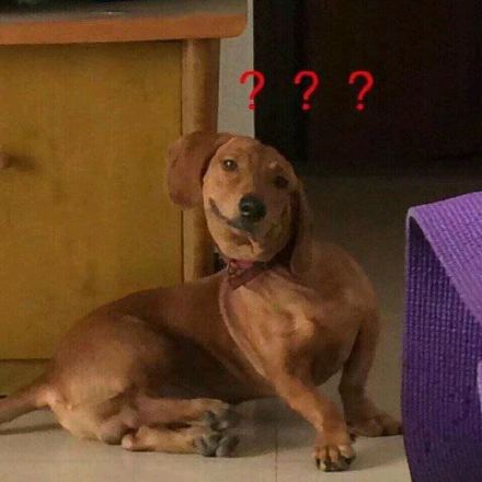 天冷了微信恶搞斗图表情包