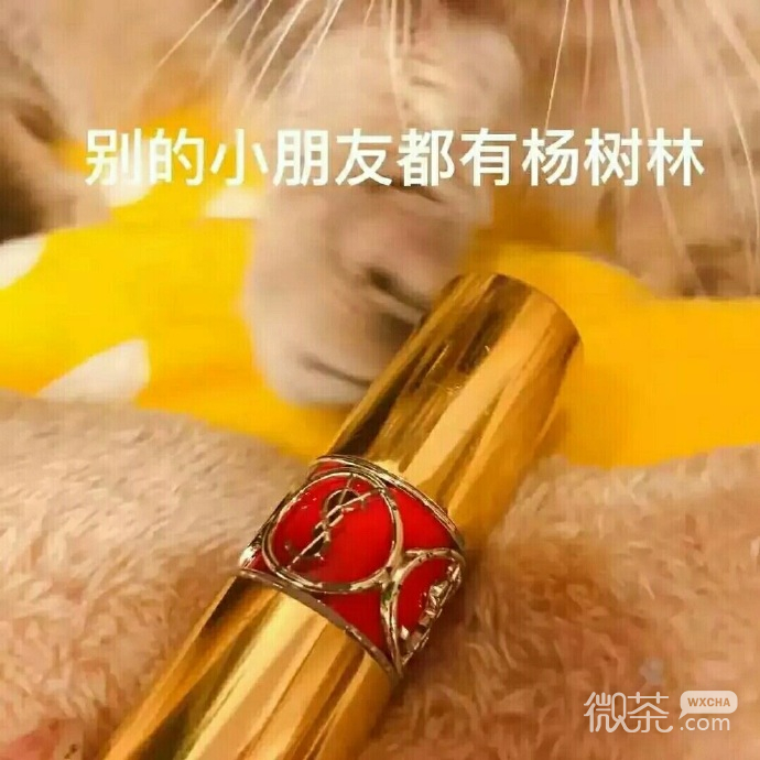 萌萌哒的微信喵星人买口红表情包