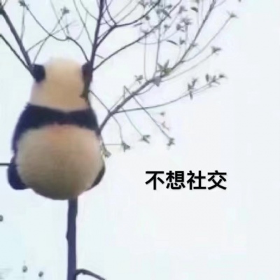 可爱带字的微信大熊猫头像