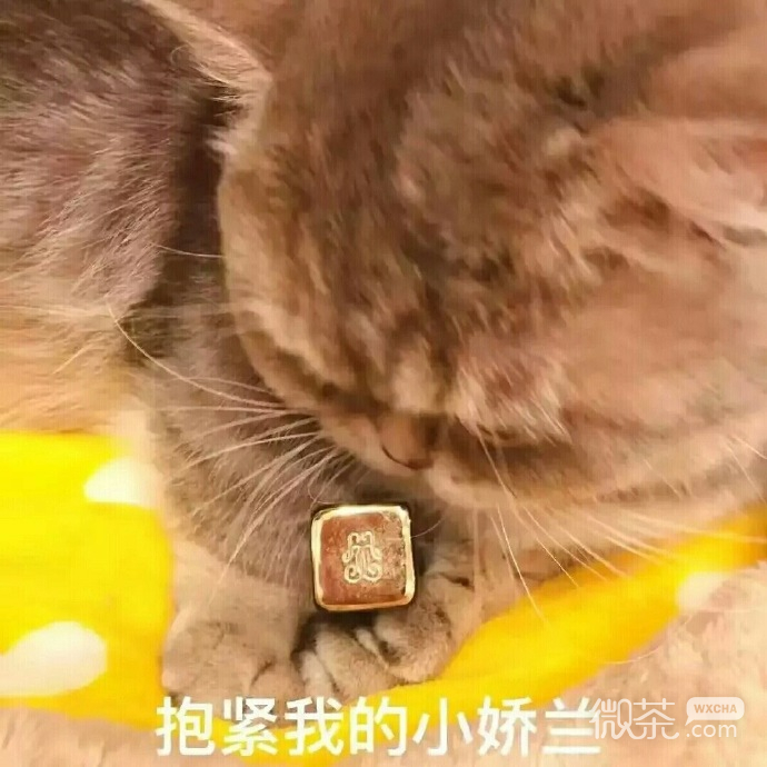 萌萌哒的微信喵星人买口红表情包
