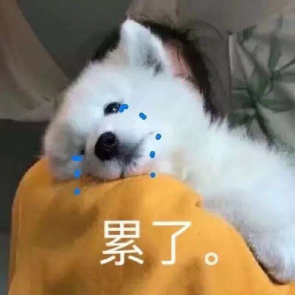累了微信恶搞斗图表情包