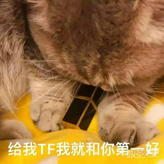 萌萌哒的微信喵星人买口红表情包