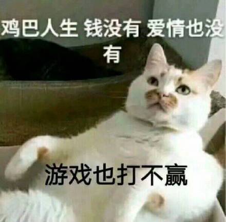 天冷了微信恶搞斗图表情包