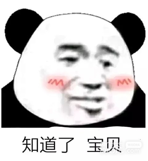 撩妹专用的微信熊猫头表情包