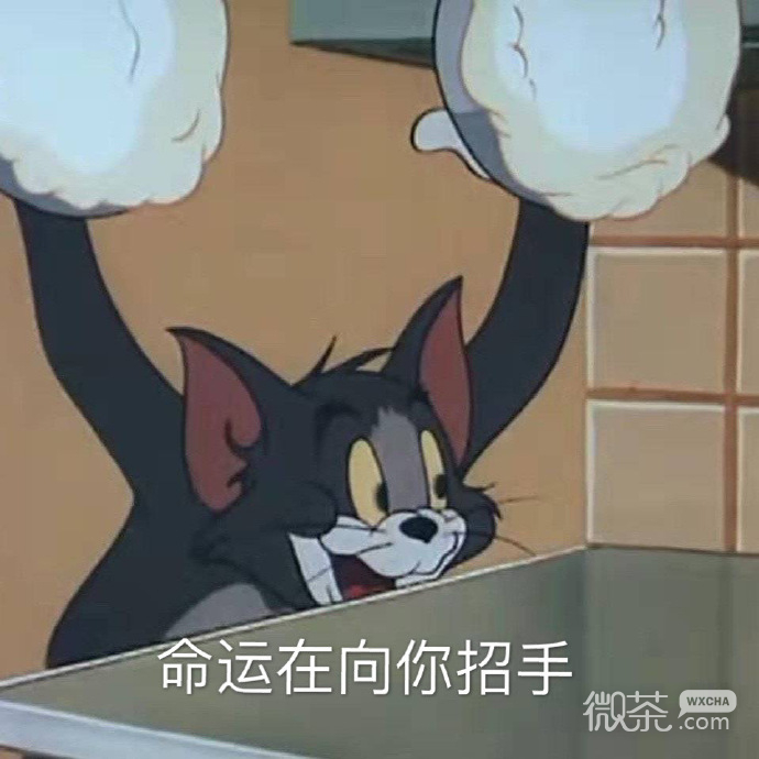 沙雕又搞笑的微信猫和老鼠表情包