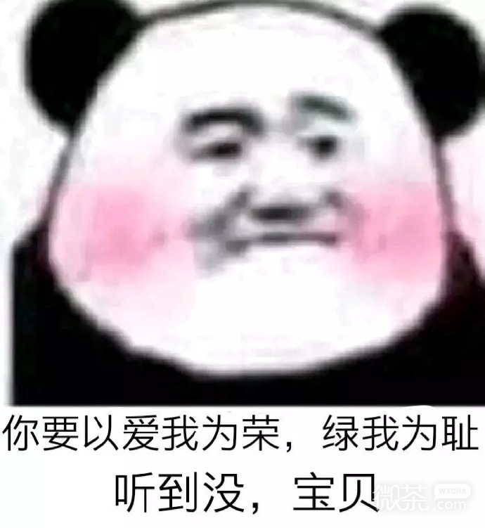 撩妹专用的微信熊猫头表情包