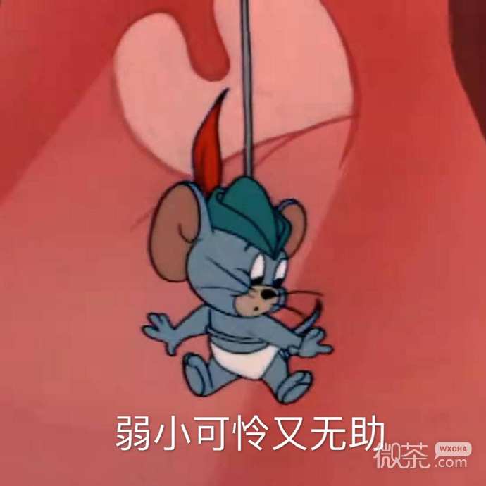 沙雕又搞笑的微信猫和老鼠表情包