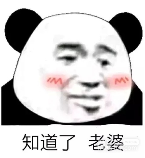 撩妹专用的微信熊猫头表情包