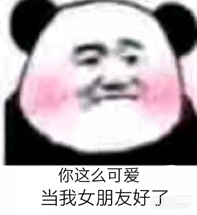 撩妹专用的微信熊猫头表情包