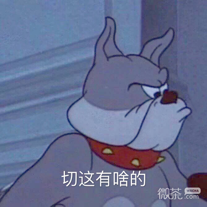 沙雕又搞笑的微信猫和老鼠表情包
