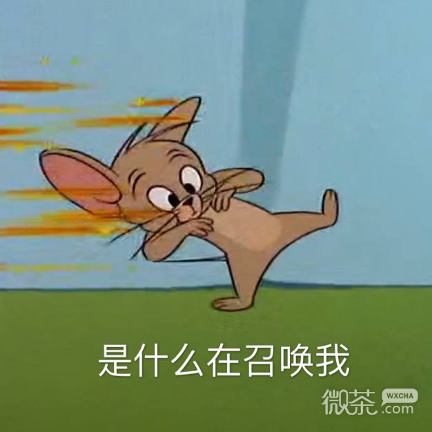 沙雕又搞笑的微信猫和老鼠表情包