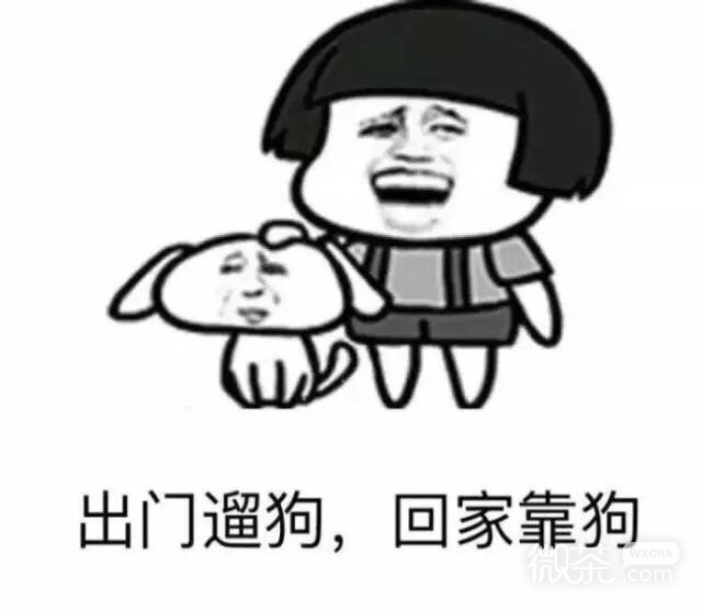 路痴专用的微信蘑菇头带字表情包