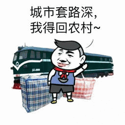 非常实用的微信2020过年回家表情包