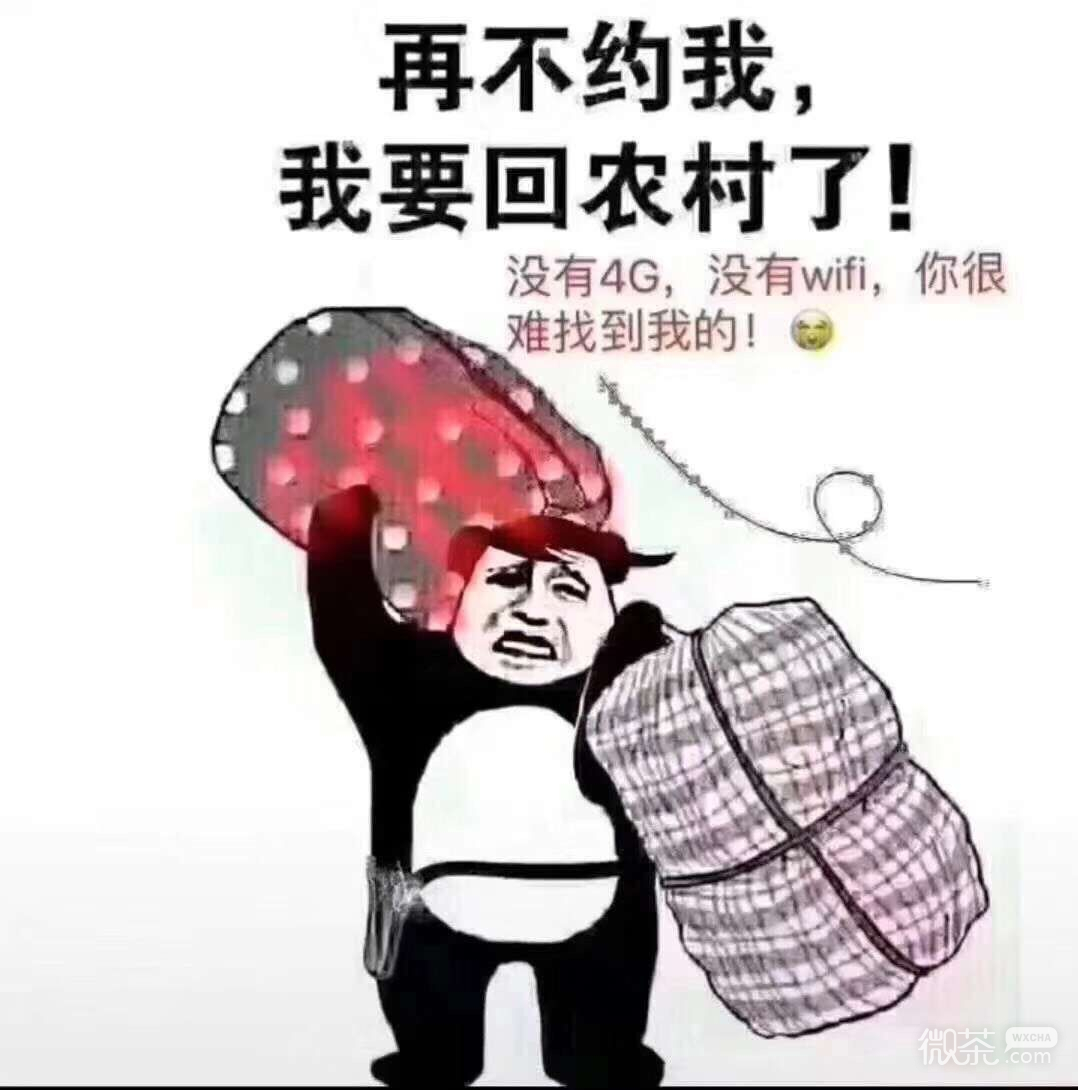 非常实用的微信2020过年回家表情包