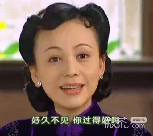 装傻恶搞斗图表情包