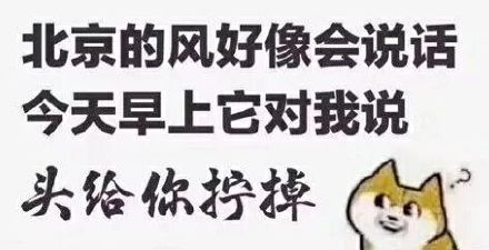 孤儿斗图表情包