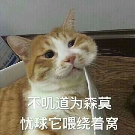 微信近期斗图恶搞表情包2020/1/13