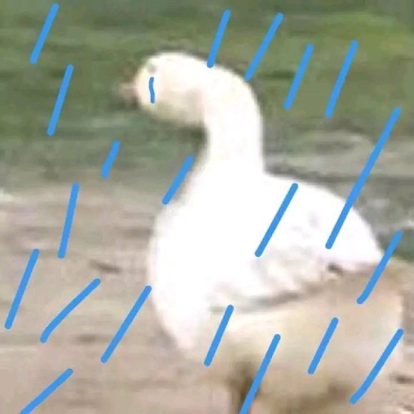 孤儿斗图表情包