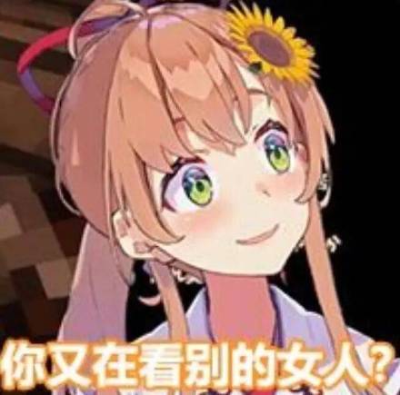 那是你恶搞斗图表情包