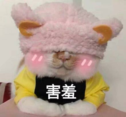 孤儿斗图表情包