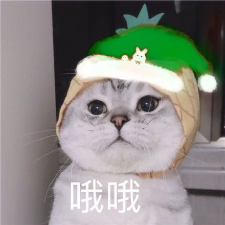 快乐熊猫头恶搞斗图表情包