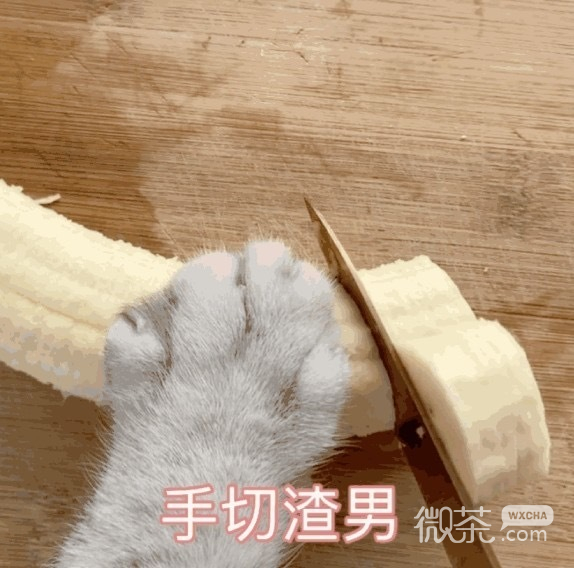 沙雕人士专属的微信搞笑带字表情包