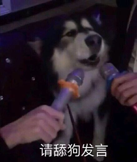 快乐熊猫头恶搞斗图表情包