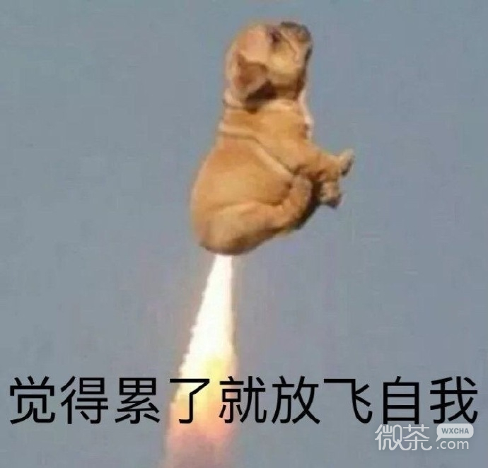 沙雕人士专属的微信搞笑带字表情包