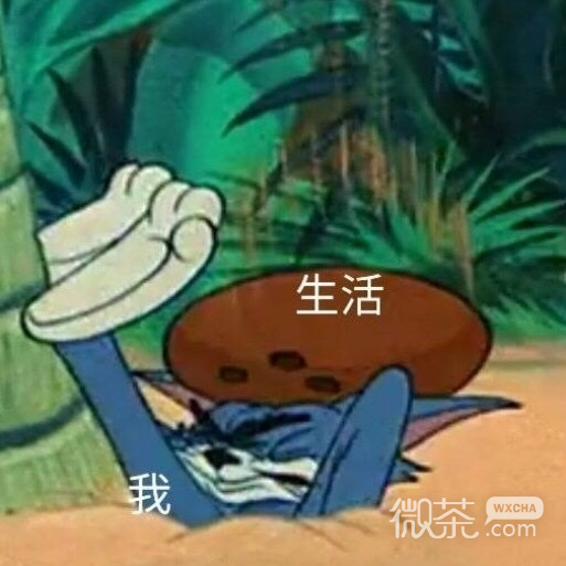 沙雕人士专属的微信搞笑带字表情包