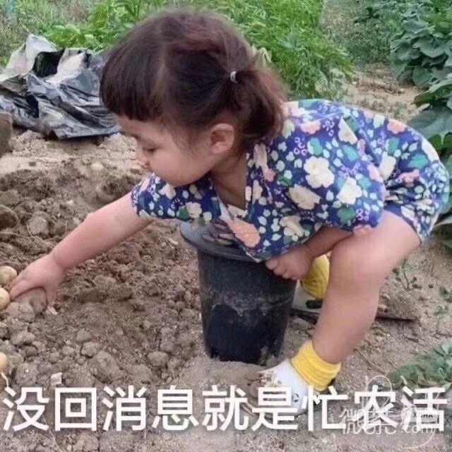 沙雕人士专属的微信搞笑带字表情包