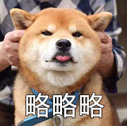 微信近期斗图恶搞表情包2020/1/14