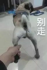 晚安搞笑恶搞斗图表情包