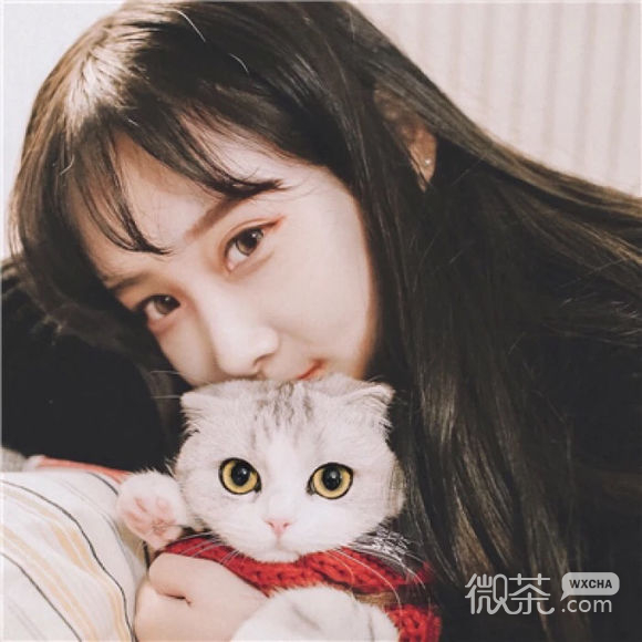潮流佛系女生头像