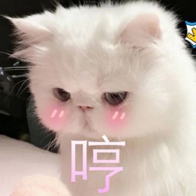 超凶恶搞斗图表情包