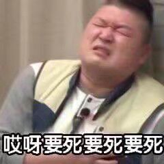 熊猫头快乐恶搞斗图表情包