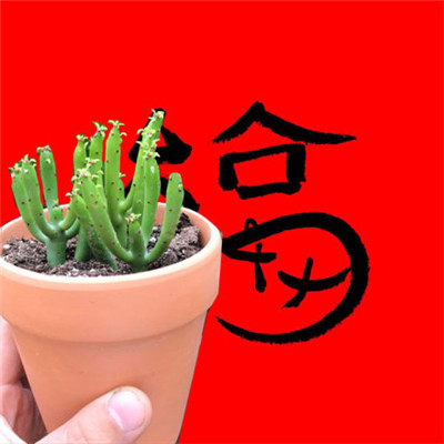 微信最新支付宝马云福字系列图片
